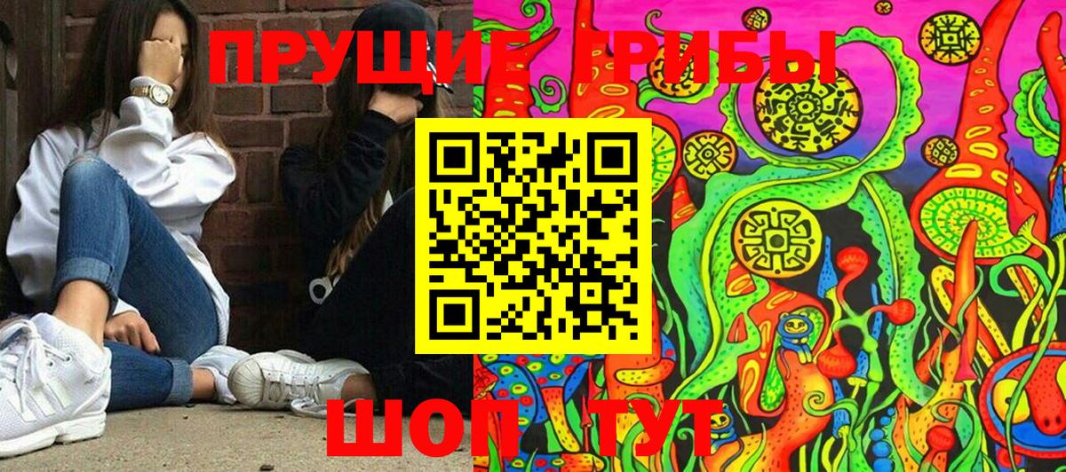 Псилоцибиновые грибы мухоморы Гудермес